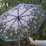 Sombrilla/Paraguas  Flor de cerezo Sakura, Plegable
